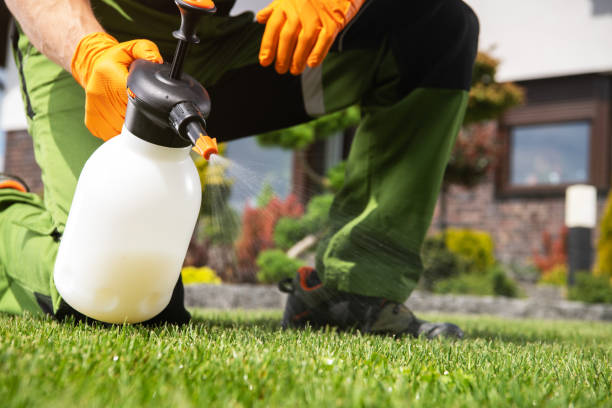 Professional Pest Control in Walnut Cove, NC