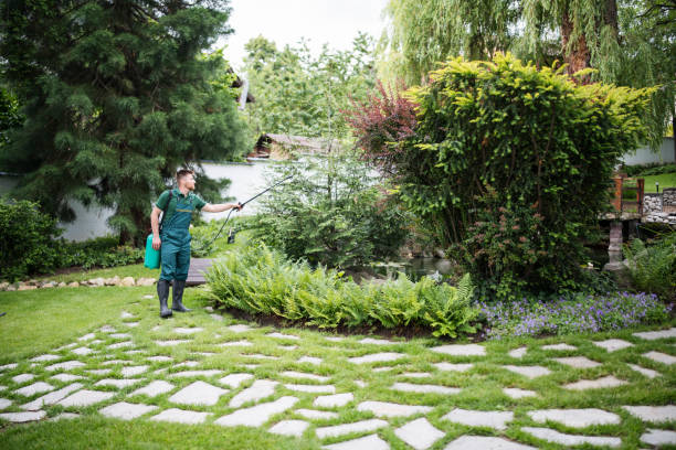 Best Commercial Pest Control Services  in Walnut Cove, NC
